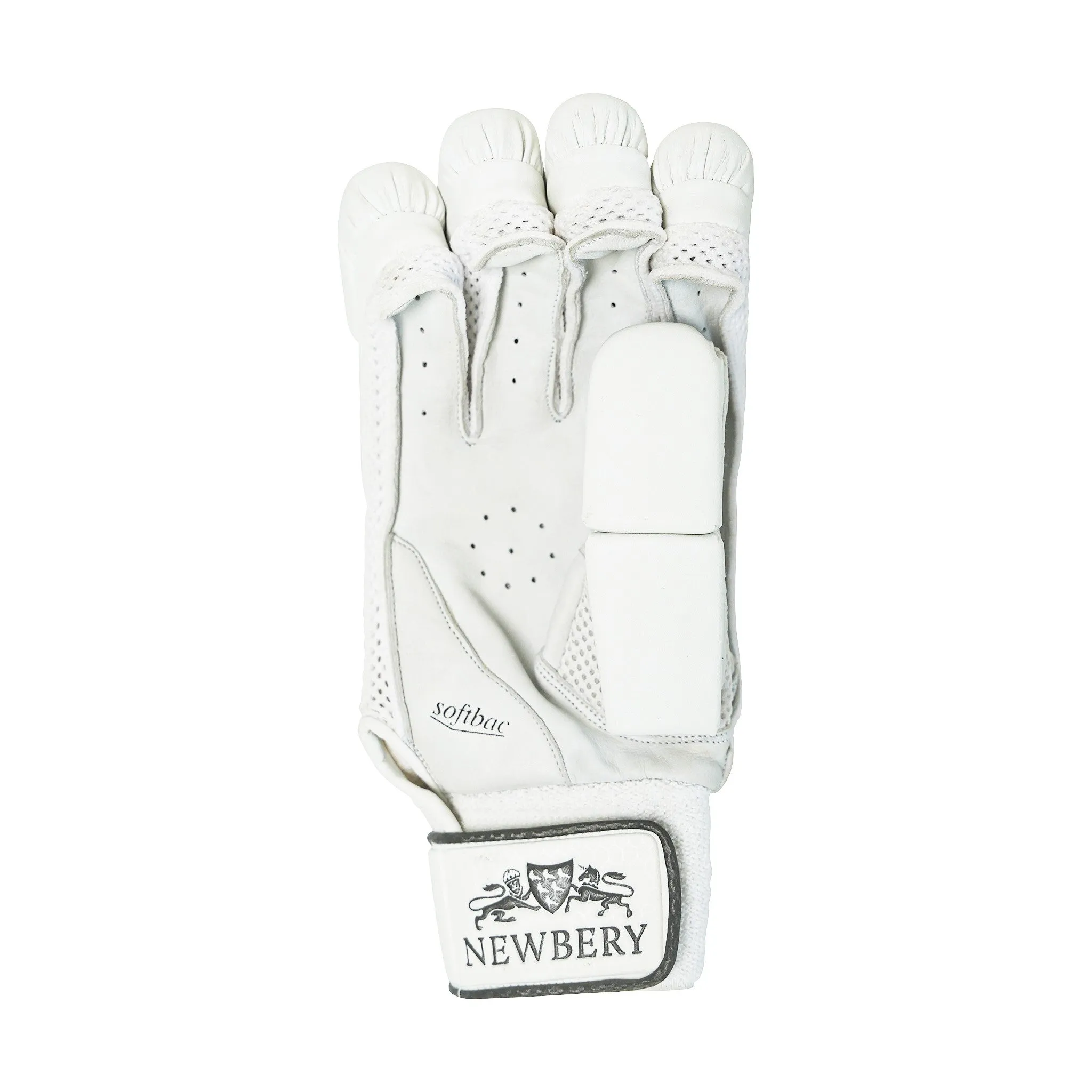 5* Cricket Batting Gloves