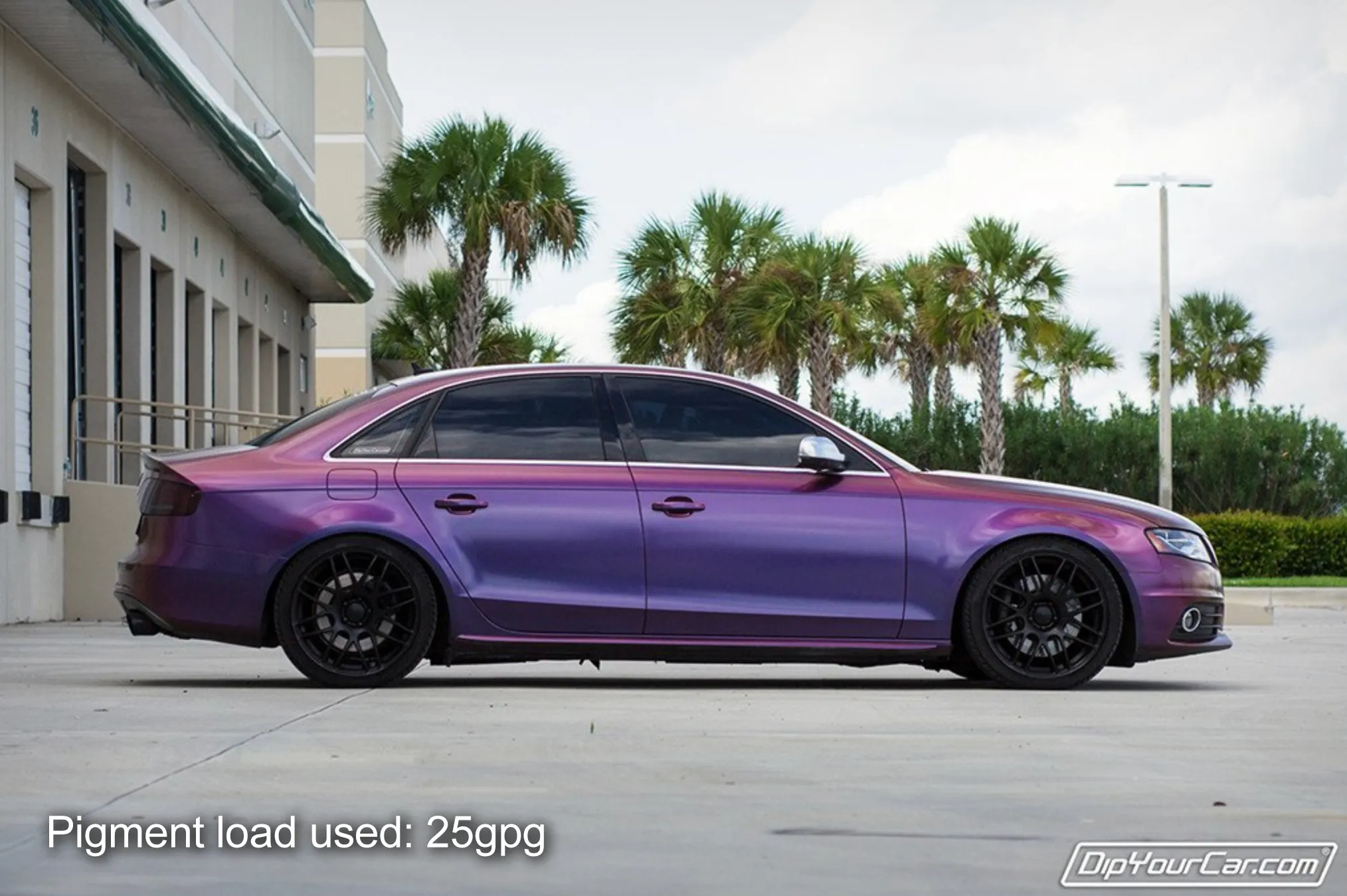 Anthias Car Kit