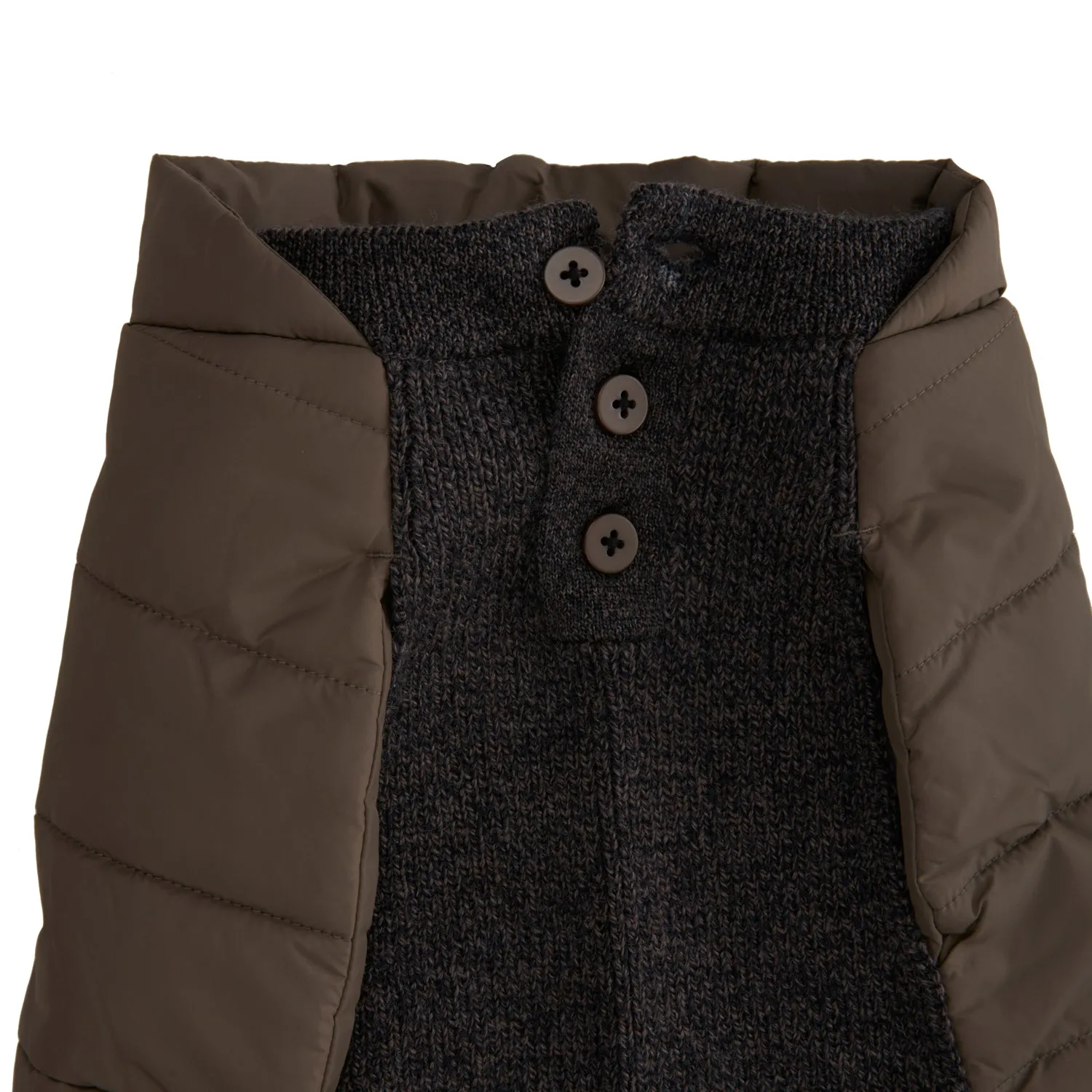 Beetle Dog Coat