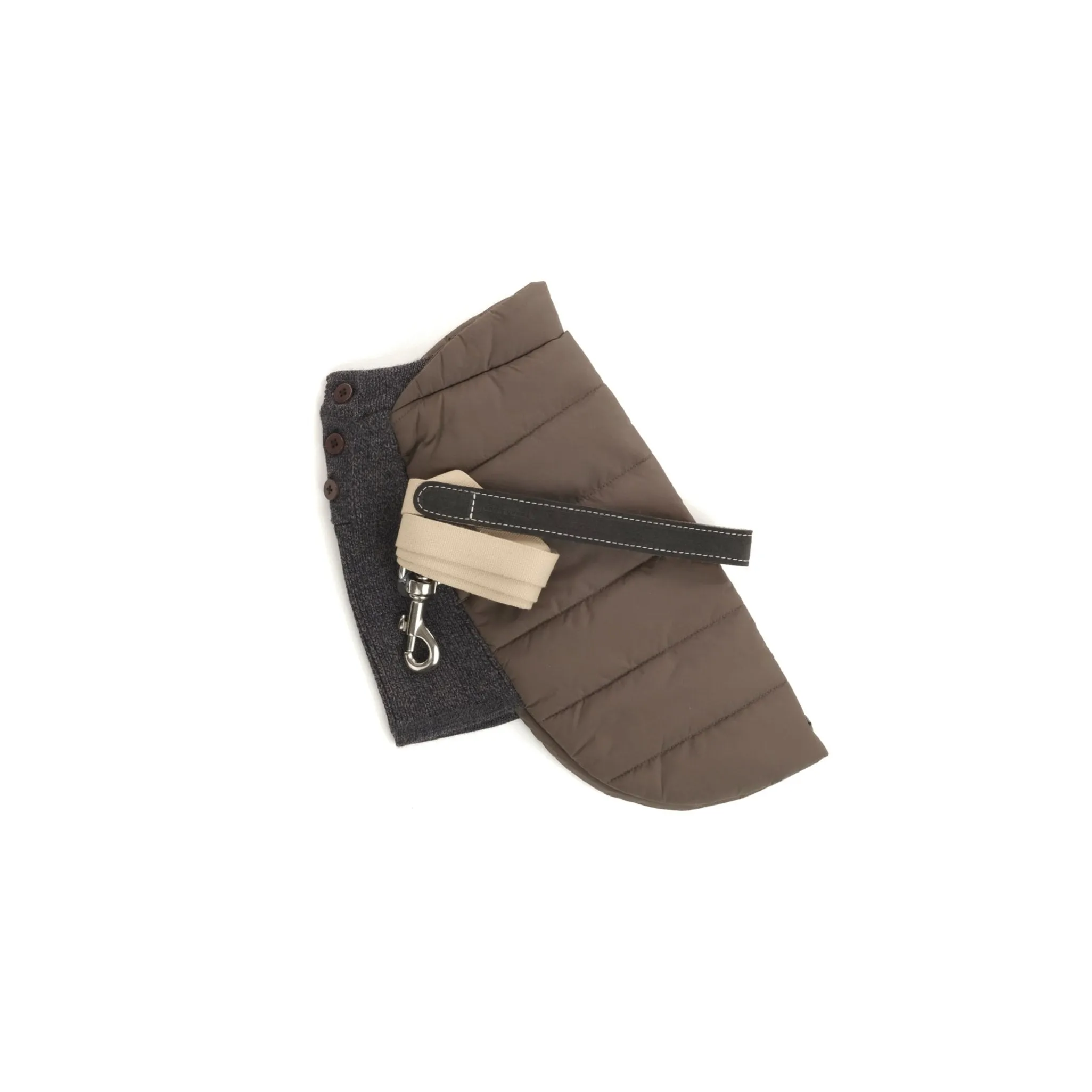 Beetle Dog Coat